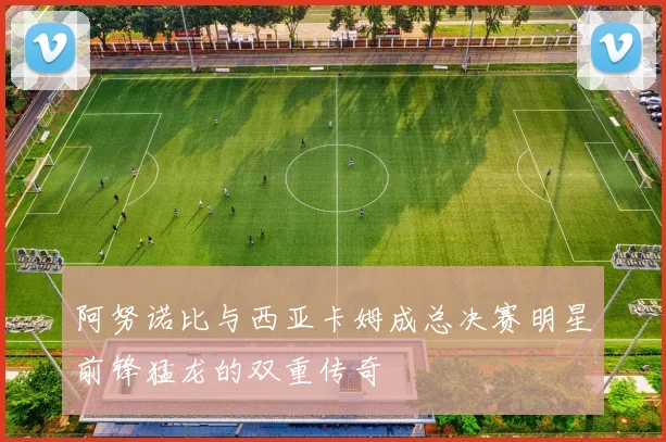 阿努诺比与西亚卡姆成总决赛明星前锋猛龙的双重传奇