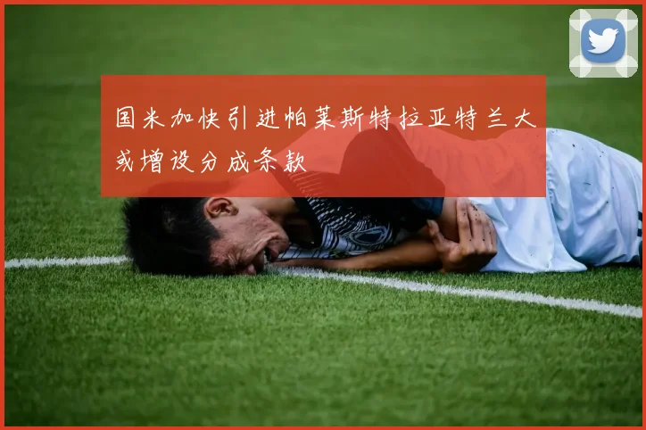 国米加快引进帕莱斯特拉亚特兰大或增设分成条款