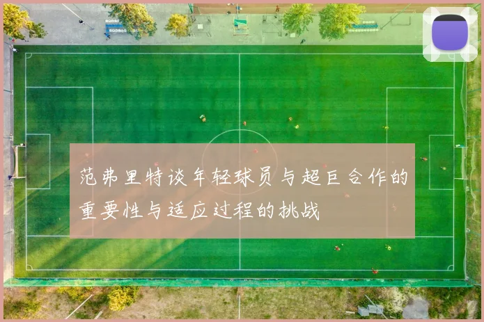 范弗里特谈年轻球员与超巨合作的重要性与适应过程的挑战