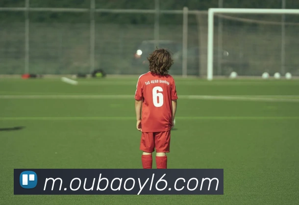 辅助工具